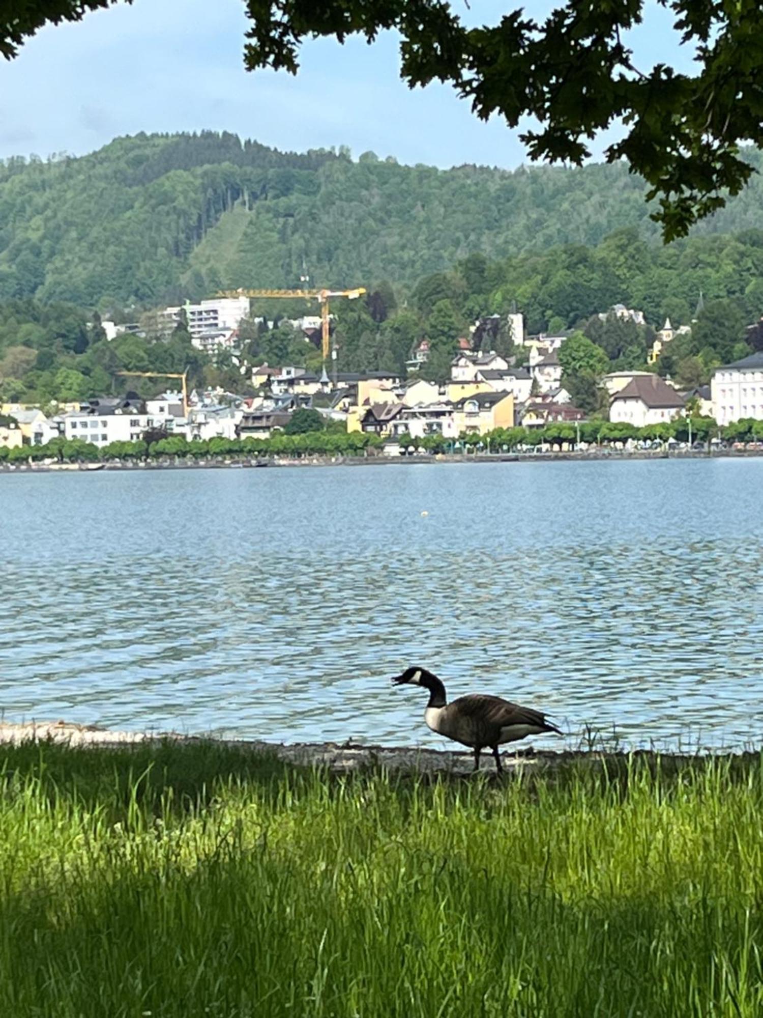 Altstadtjuwel In Gmunden Am Traunsee Exterior photo